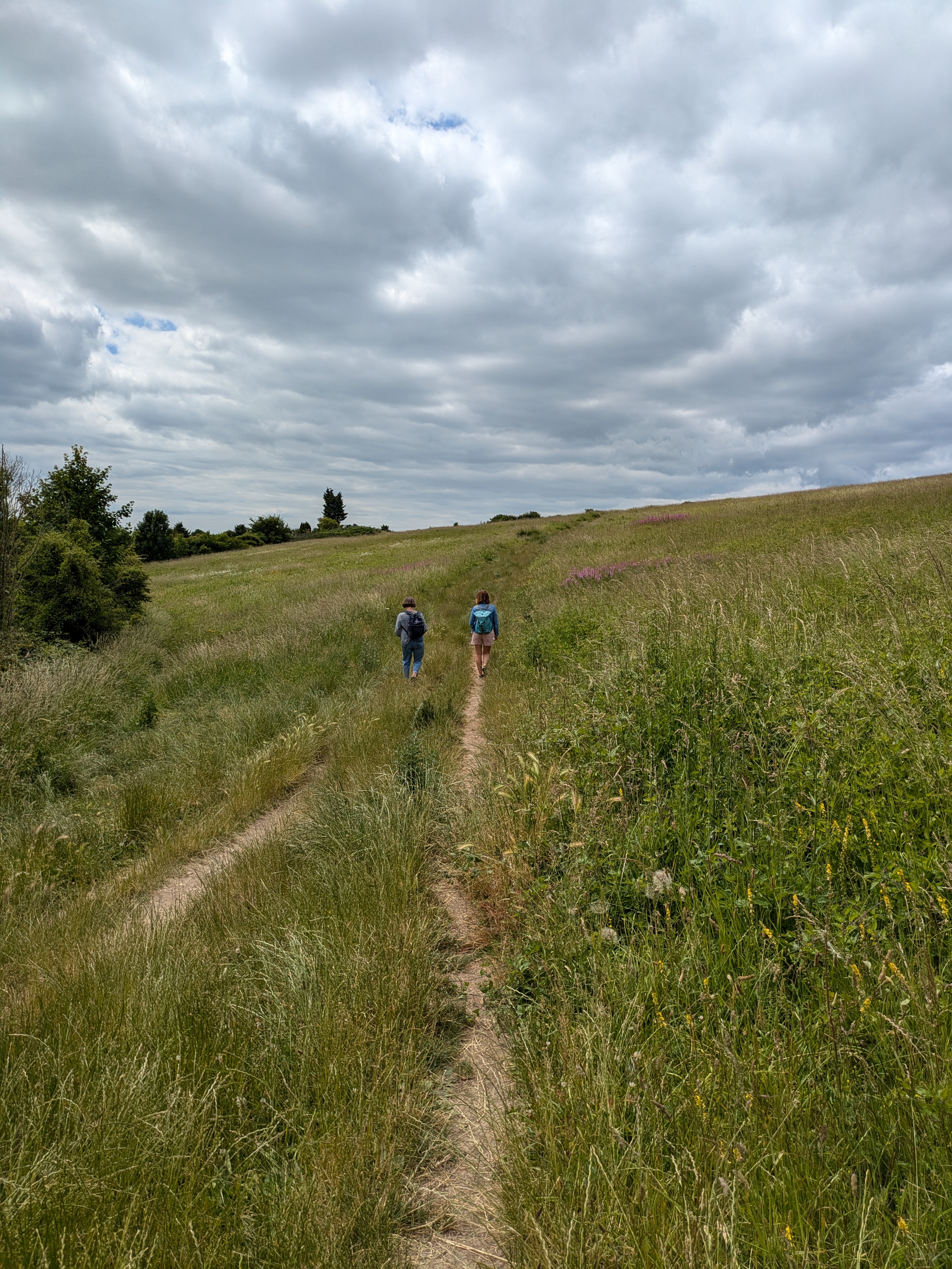 Humwan Walking Podcasts – Posthuman Walking Project